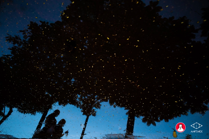 nhiếp ảnh - Ảnh 10.