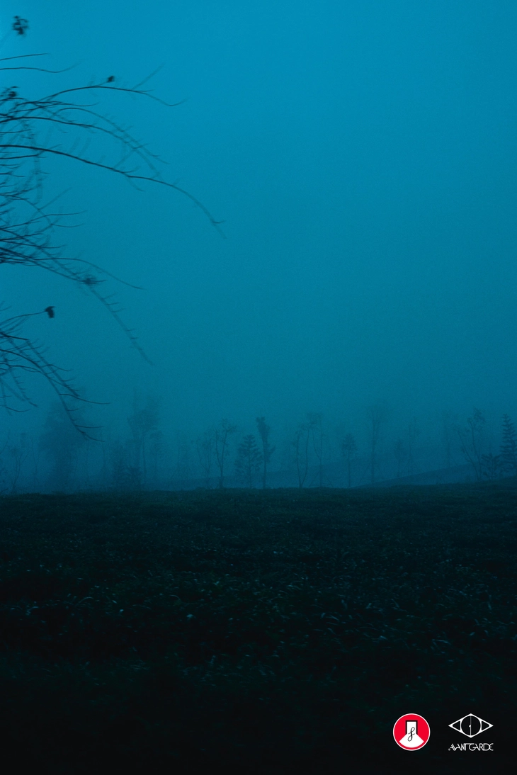 nhiếp ảnh - Ảnh 16.