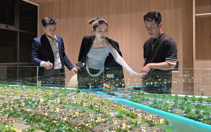 Hạn chế tín dụng ‘chảy’ vào bất động sản đầu cơ, chỉ cách tìm đúng chỗ cần siết - Ảnh 4.