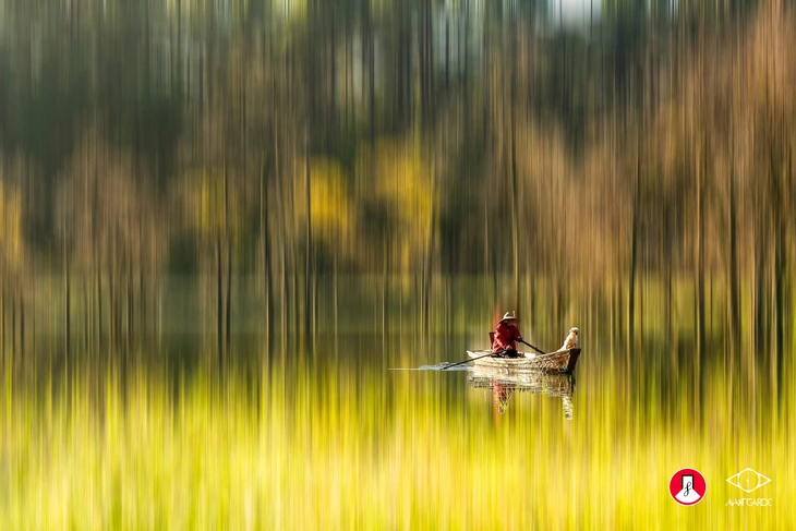 nhiếp ảnh - Ảnh 12.