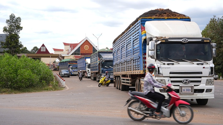 nông sản - Ảnh 1.