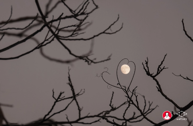 nhiếp ảnh - Ảnh 3.