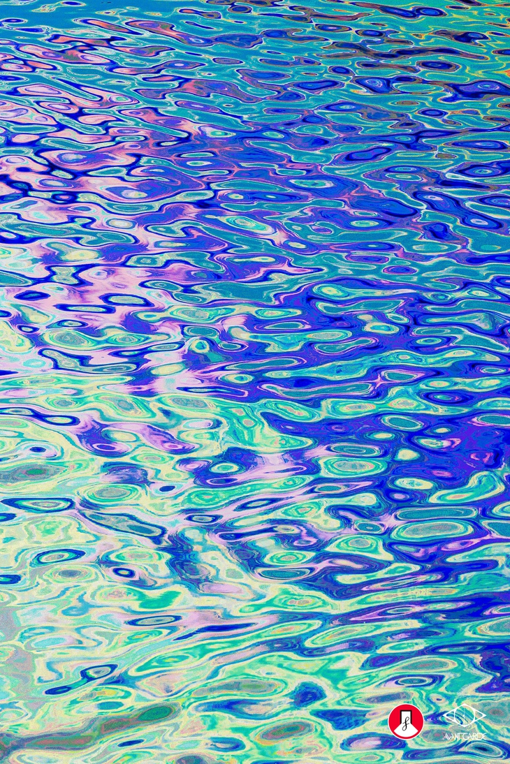 nhiếp ảnh - Ảnh 17.