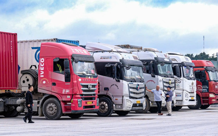 Các sản phẩm do Bộ Y tế quản lý, chưa nhận phản ánh vướng mắc liên quan nghị định 46 - Ảnh 2.