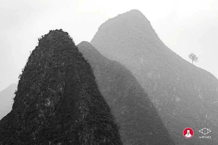 nhiếp ảnh - Ảnh 6.