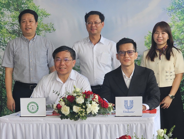 cây xanh - Ảnh 1.