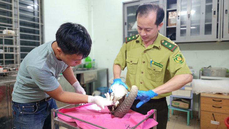 động vật hoang dã - Ảnh 3.