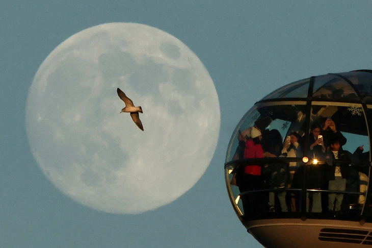 Tin tức thế giới 4-1: Tổng thống Venezuela trên đường đến nhà tù Mỹ - Ảnh 4.