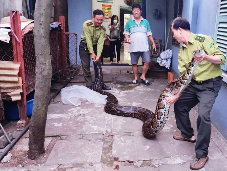 động vật hoang dã - Ảnh 2.