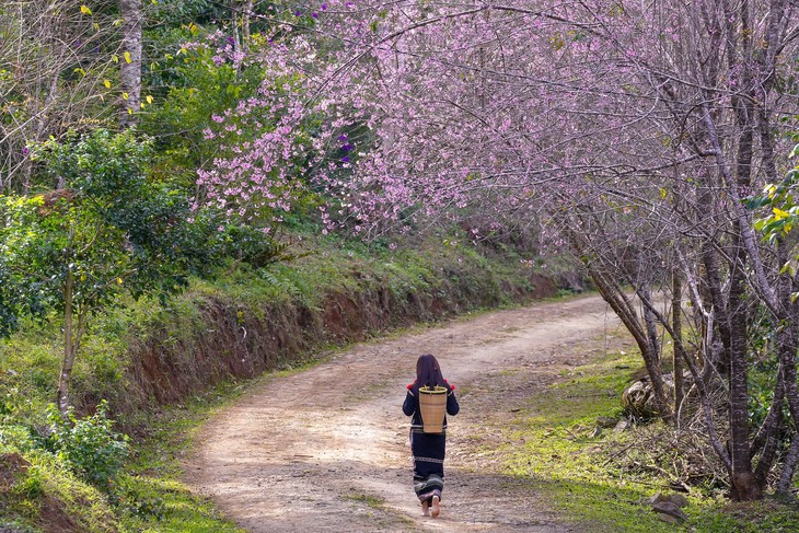Măng Đen - Ảnh 2.