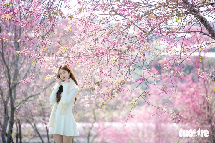 đà lạt - Ảnh 3.