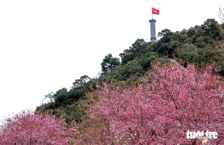 Tết dương lịch - Ảnh 2.