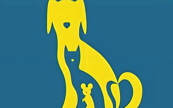 Quiz: Bạn sở hữu khả năng suy luận sắc bén hay là người cầu toàn? - Ảnh 4.