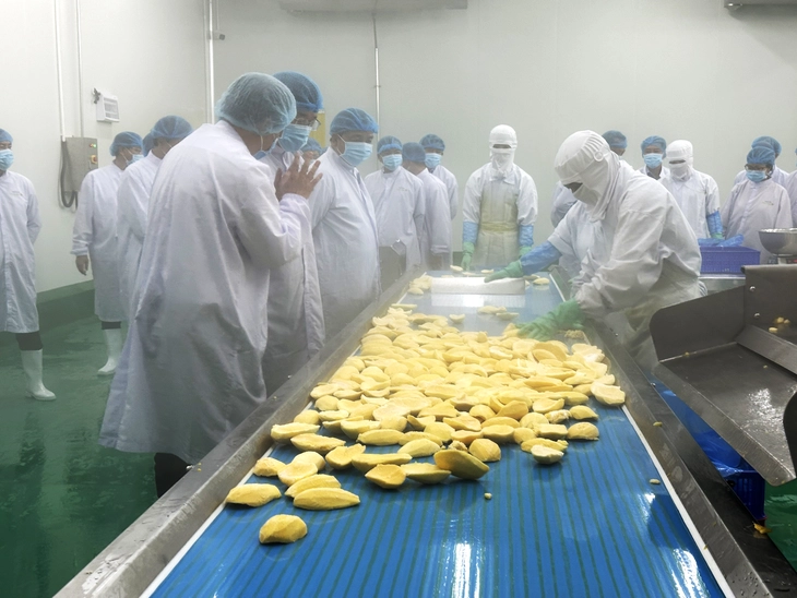 xuất khẩu - Ảnh 3.