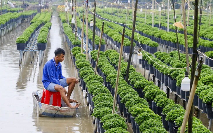 Mưa trái mùa nhiều nơi tại TP.HCM, đề phòng bệnh do thời tiết - Ảnh 2.