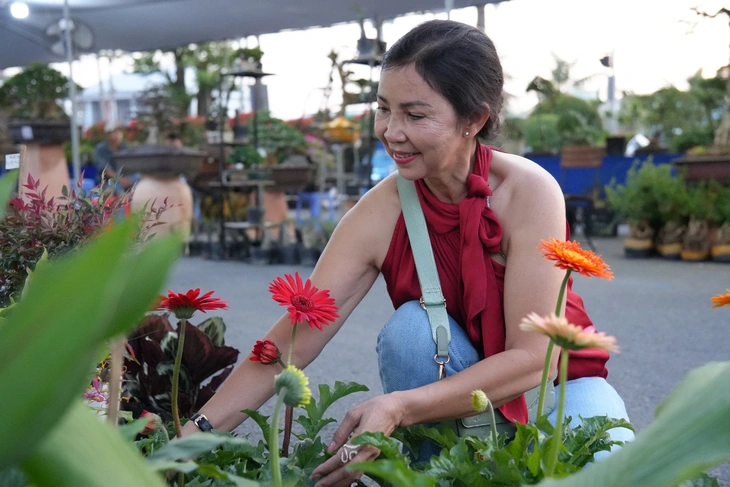 Festival hoa kiểng - Ảnh 5.