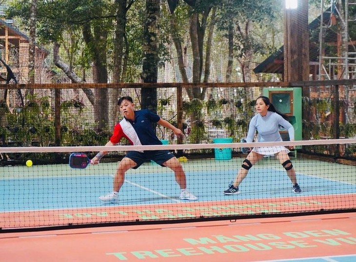 Đánh pickleball để trồng hoa anh đào ở Măng Đen, du lịch Quảng Ngãi bội thu dịp Tết dương lịch - Ảnh 1.