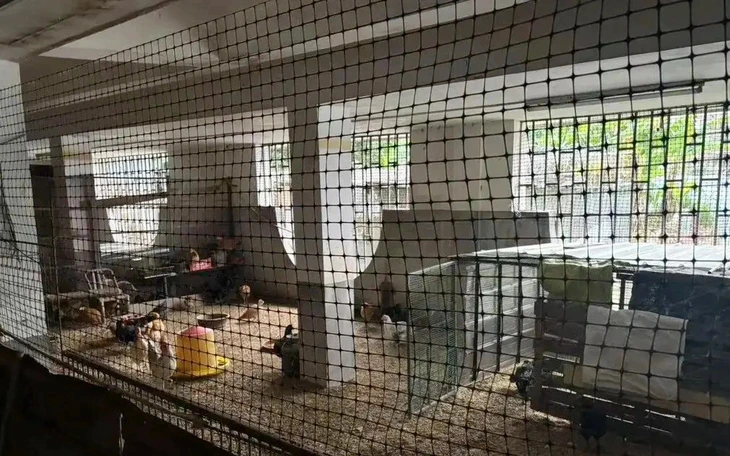 Lái trực thăng đưa vợ con về quê ăn Tết - Ảnh 2.