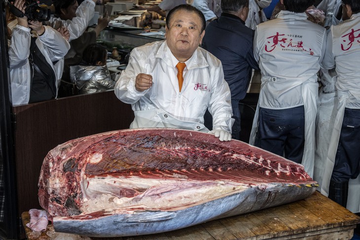 cá ngừ - Ảnh 2.