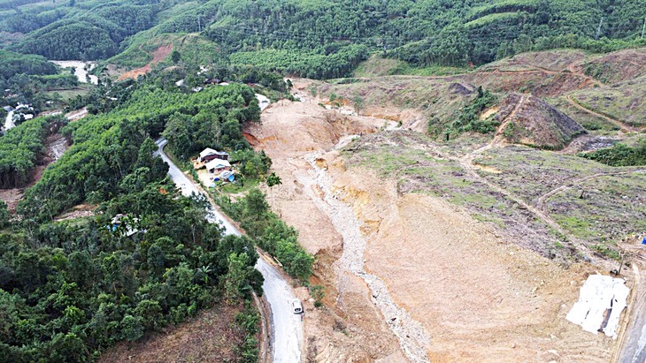 rừng keo - Ảnh 2.