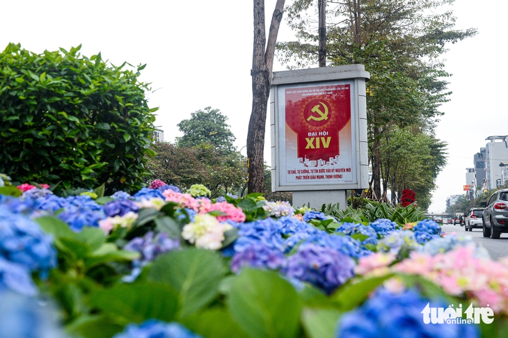 Đại hội lần thứ XIV - Ảnh 8.