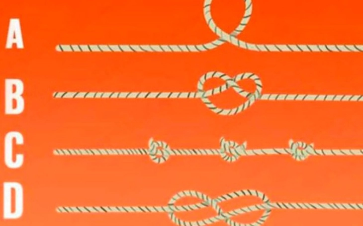 Quiz: Bạn sở hữu khả năng suy luận sắc bén hay là người cầu toàn? - Ảnh 2.