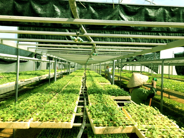 xuất khẩu chính ngạch - Ảnh 2.