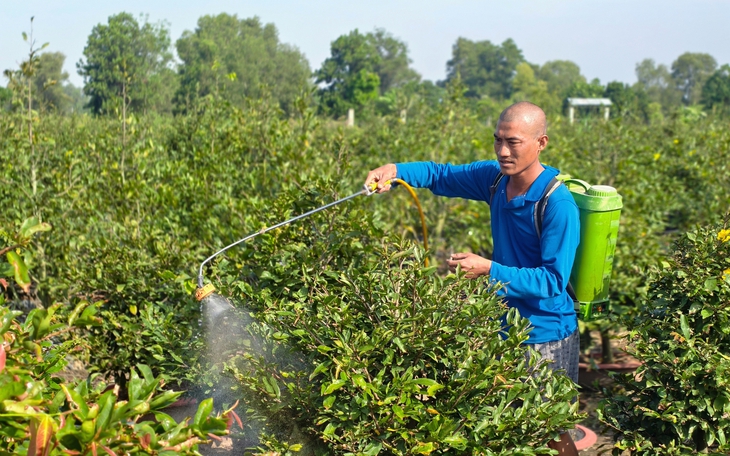Lãnh đạo TP.HCM thăm nông dân làng mai vàng Bình Lợi trước Tết Bính Ngọ - Ảnh 2.