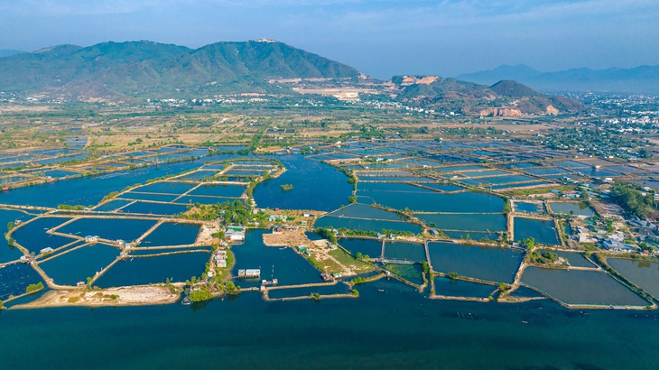 Khánh Hòa - Ảnh 3.