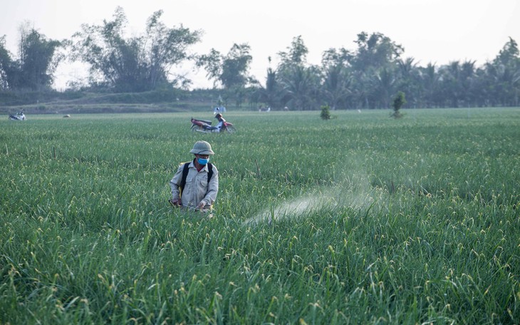 Đang có khoảng 6.000 drone trong nông nghiệp ở Đồng bằng sông Cửu Long - Ảnh 2.