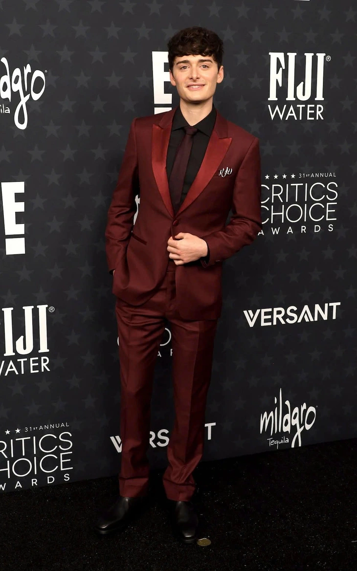Critics Choice Awards - Ảnh 13.