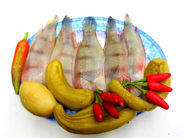 Đậm đà cá mó kho dưa - Ảnh 2. Đậm đà cá mó kho dưa - Ảnh 2.