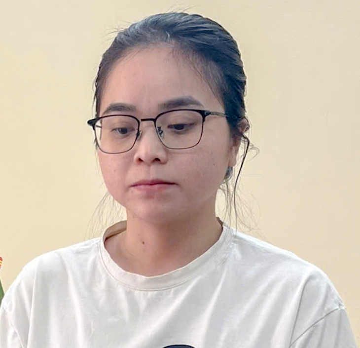 LỪA ĐẢO - Ảnh 1.