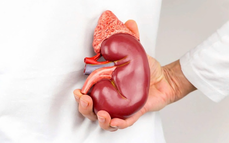 Người trẻ bị bệnh thận: vì sao? - Ảnh 3.