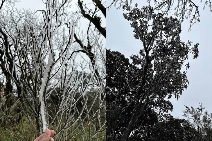 băng giá - Ảnh 3.