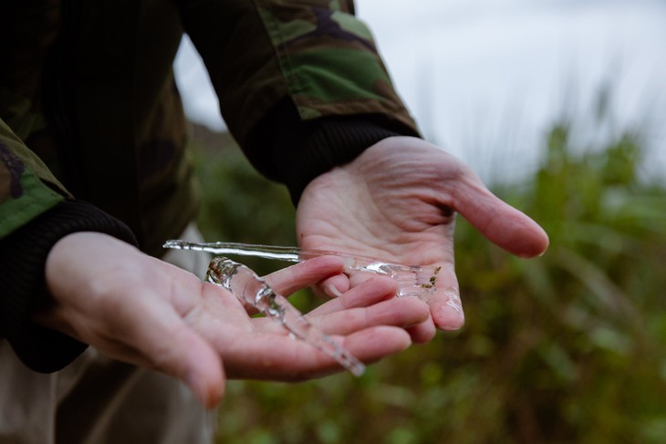 băng giá - Ảnh 4.