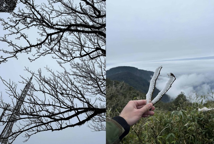 băng giá - Ảnh 2.