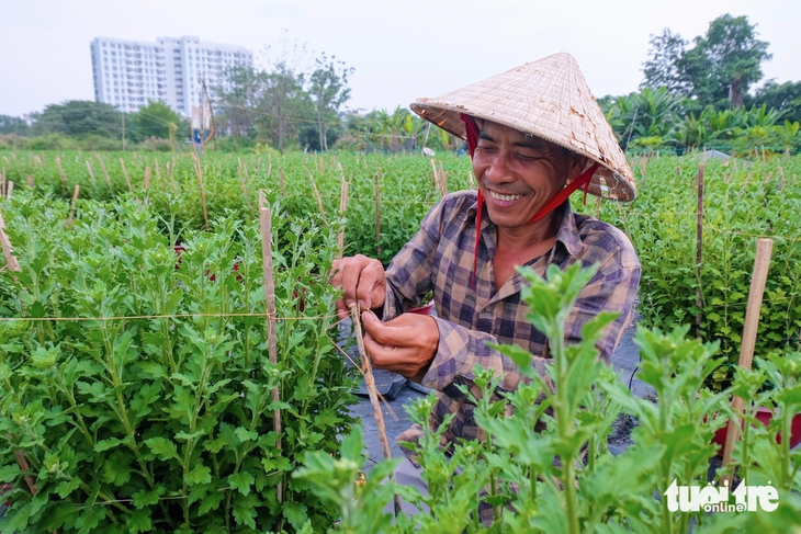 Hoa Tết - Ảnh 7.