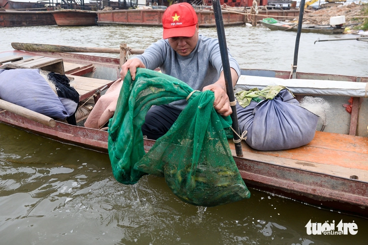 mưu sinh - Ảnh 3.