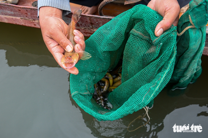 mưu sinh - Ảnh 4.