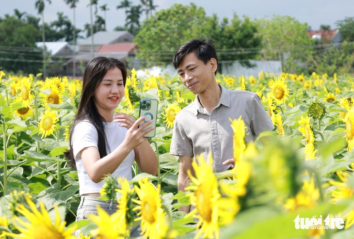 hoa hướng dương - Ảnh 6.