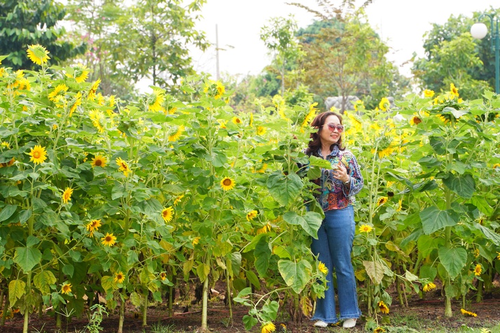 TP.HCM rực rỡ đầu năm: Từ vườn hoa chân cầu Ba Son đến bờ sông Thủ Thiêm - Ảnh 8.