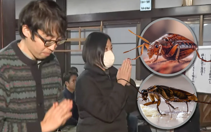 Độc lạ Nhật Bản: In mặt diễn viên Death Note lên xà lách, khách đi siêu thị hết hồn - Ảnh 2.
