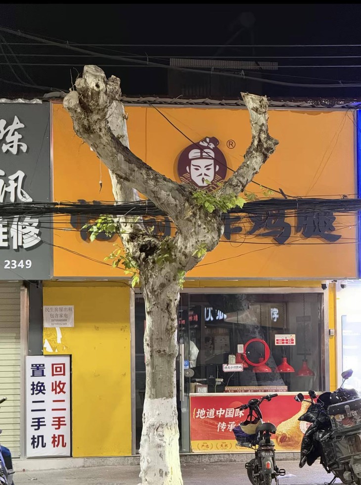 ảnh vui - Ảnh 1.