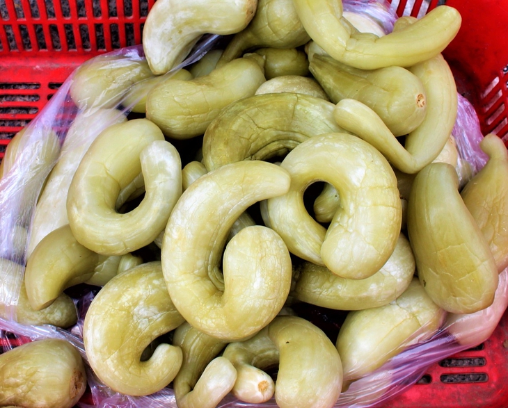 Đậm đà cá mó kho dưa - Ảnh 3. Đậm đà cá mó kho dưa - Ảnh 3.