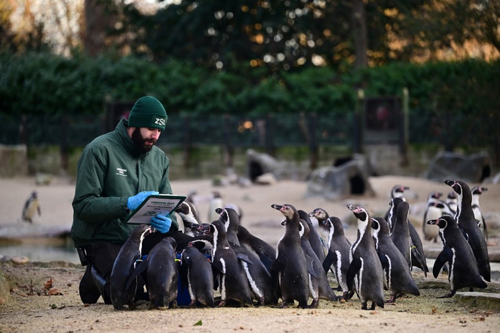 Tin tức thế giới 8-1:  - Ảnh 1.