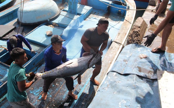 Mỹ cấm nhập 12 nhóm loài thủy sản khai thác: Sẽ hỗ trợ ngư dân chuyển đổi nghề - Ảnh 4.