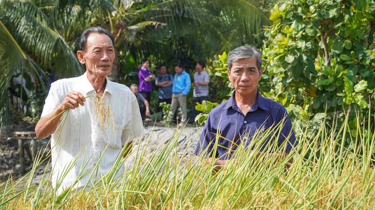 ĐỒNG CHÓ NGÁP - Ảnh 2.