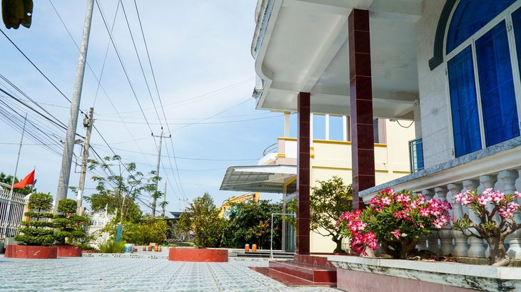 ĐỒNG CHÓ NGÁP - Ảnh 3.