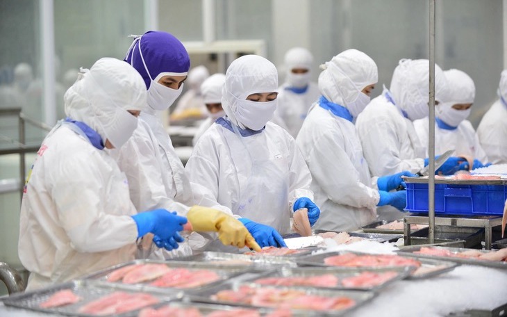 Mỹ giảm nhập thủy sản Việt Nam vì thuế, Trung Quốc tăng mua 50% tôm hùm, cá tra, cua - Ảnh 2.